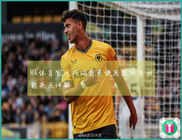 MK体育官方网站首页使用技巧与功能亮点详解